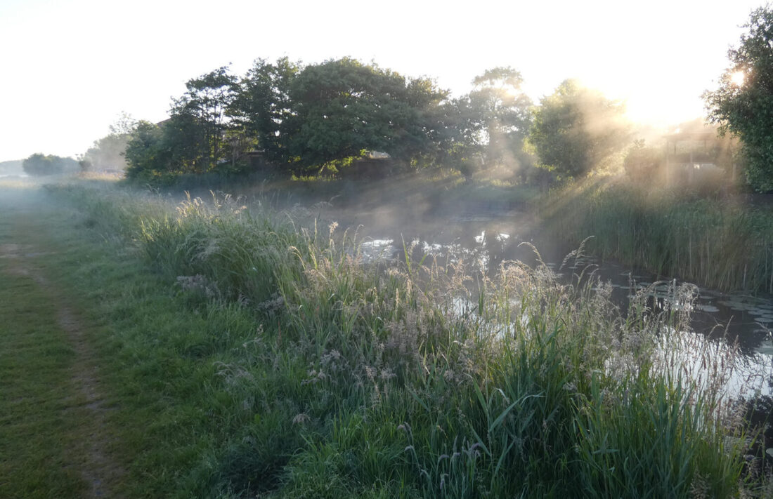 QuickScan Biodiversiteit Gemeente Rijswijk
